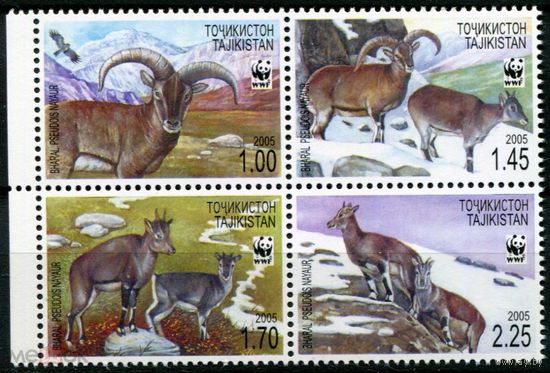 Таджикистан 2005 WWF Фауна Горные бараны Серия 4 м. MNH Михель 7,5 евро (40)
