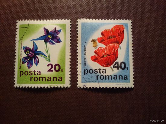 Румыния1975 г .Полевой дельфиниум и Мак длинноголовый./46а/