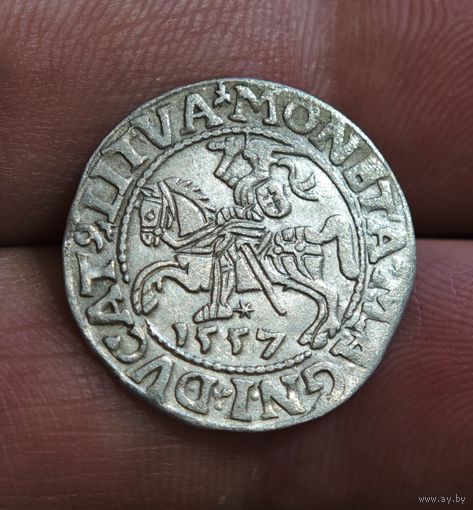 Полугрош 1557 года