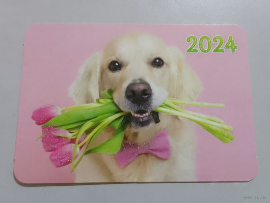 Карманный календарик. Собака. 2024 год