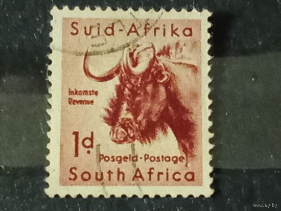Южная Африка 1954 Фауна. Чёрная антилопа гну