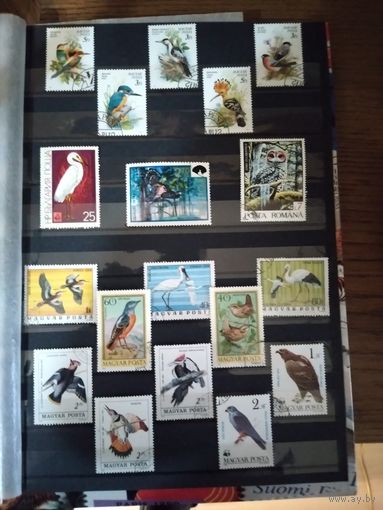 Птицы. Набор марок.