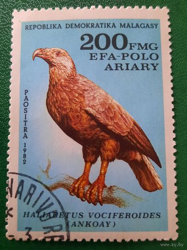 Венгрия 1982. Фауна. Птицы. Haliabetus Vociferoides.  Марка из серии