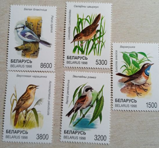 Птицы, Беларусь