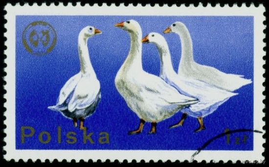 Конференция Европейской зоотехнической федерации Польша 1975 год 1 марка