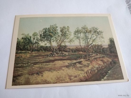 Открытка 1982г. А. Иванов. Оливы у кладбища в Альбано. Молодой месяц.