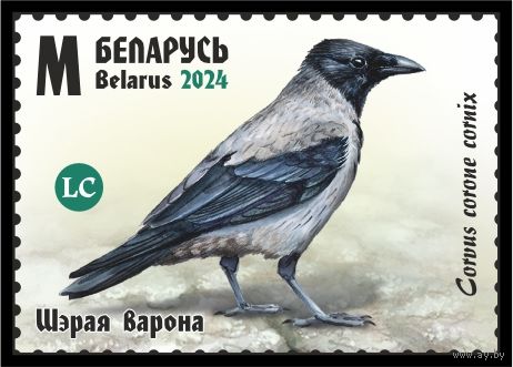 2024г Беларусь MNH  "Птицы Беларуси. Врановые"
