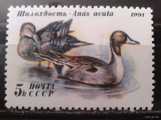 1991 Утки**