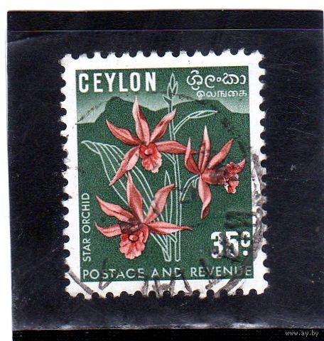 Цейлон.Ми-270. Phaius tankervilleae - Звездная орхидея. 1952.