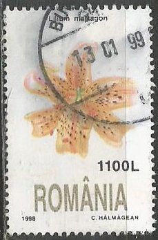 Румыния. Цветы. Лилия. 1998г. Mi#5350.