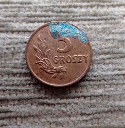 Werty71 Польша 5 грошей 1949