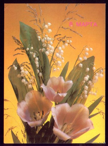 1989 год И.Дергилёв 8 марта