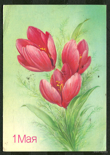 1 мая. Худ. Н. Коробова. 1988