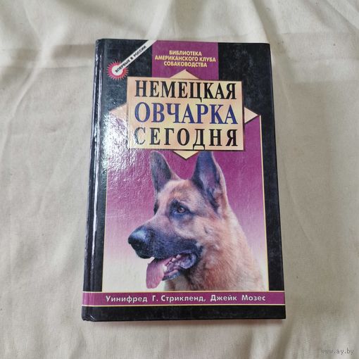 Немецкая овчарка сегодня