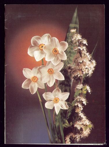 1988 год Д.Киндрова Поздравляю