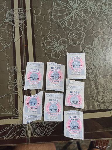 Билеты на автобус ( Жодино -2025 год) одним лотом