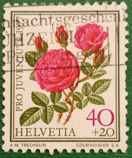 Швейцария 1977. Роза