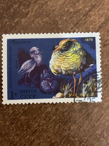 СССР 1975. Турухтан. Марка из серии