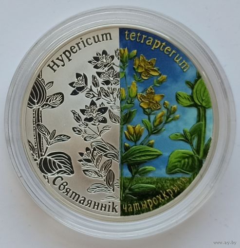 Зверобой четырехкрылый, 20 рублей 2013, серебро, Ag 925, #BelCoinArt