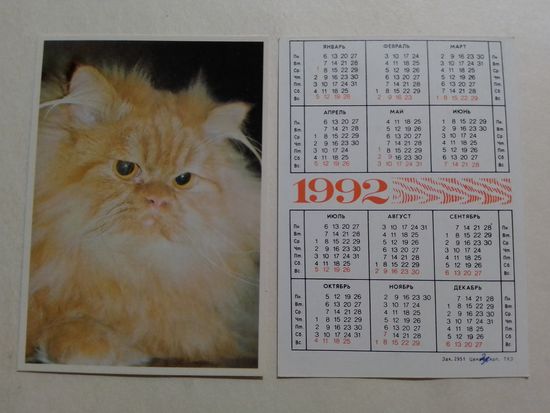 Карманный календарик. Котик.1992 год