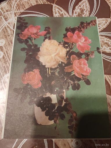 Открытка,телеграмма,подписана