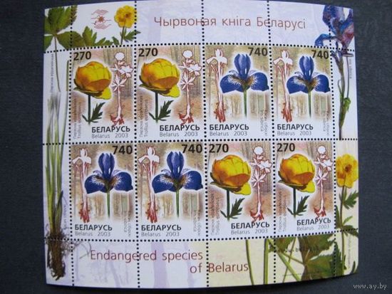 Марки РБ ##507-508. МЛ Редкие виды цветов, занесенные в Красную книгу Беларуси