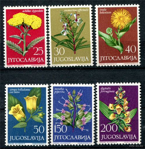 Югославия - 1965г. - Цветы - полная серия, MNH с отпечатками на клее [Mi 1118-1123] - 6 марок