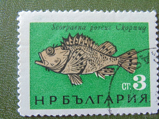 Болгария 1965г. Рыбы Чёрного моря.