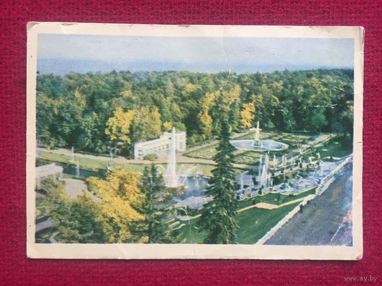Петродворец. 1960 г. Чистая.