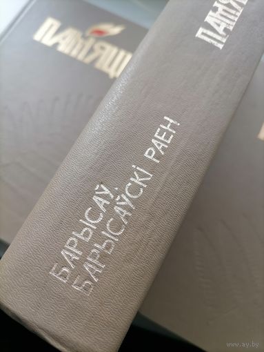 Книга Память Борисов Борисовский р-н