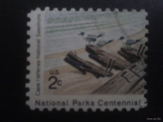 США 1972 чайки