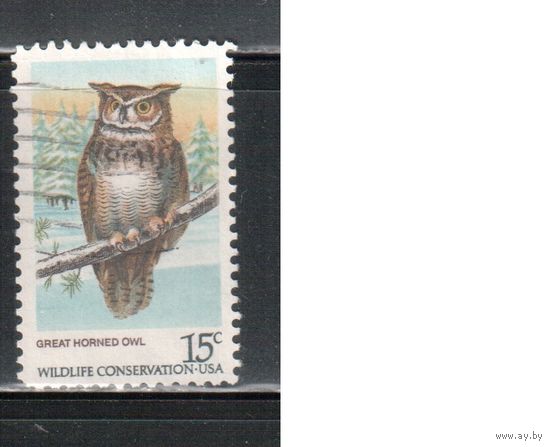 США-1978, (Мих.1361) , гаш.  , Фауна, Птицы, Совы(2)