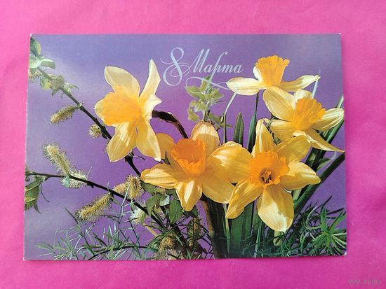 8 марта! Подписанная. 1985 года. Фото Зеленова. 996.