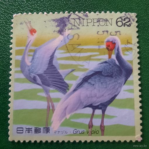 Япония. Фауна. Птицы. Grus Vipio.  Марка из серии
