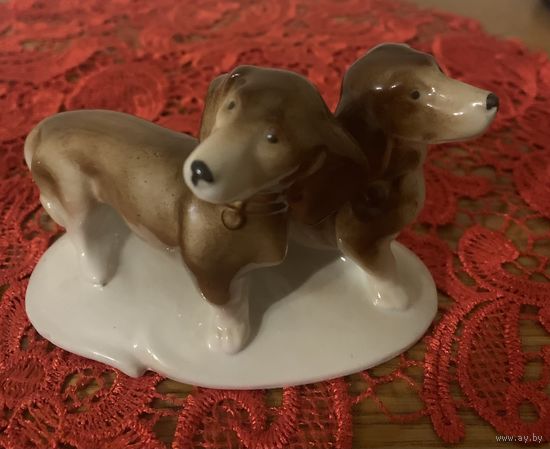 Две таксы. Германия