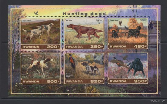 Фауна Собаки Руанда 2017** Охота Охотничьи собаки