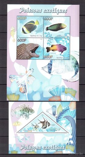 Конго 2014 Фауна морская рыбы 1 лист и 1 блок MNH**