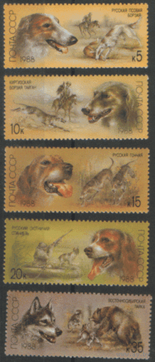 Заг. 5879/83. 1988. Отечественные породы охотничьих собак. чиСт.