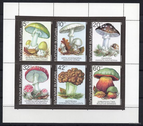 Болгария 1990. Грибы малый лист (3887)