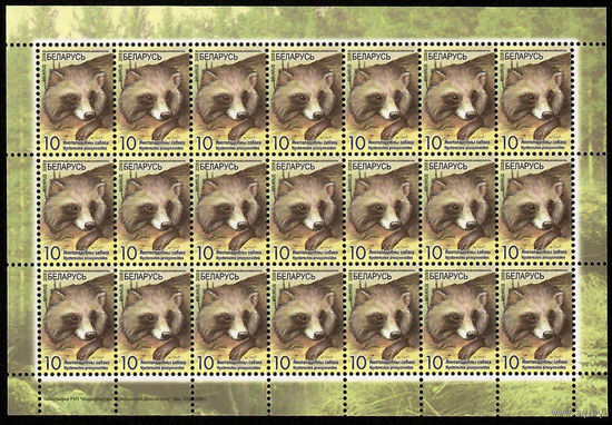 Беларусь. 2008. Стандарт.  Енотовидная собака (10р) (з.318-2008) Без просечки сверху Лист