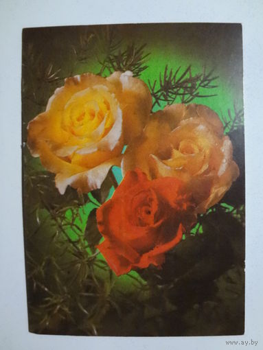 Календарик 1998 г. Еженедельная газета. Экспресс реклама. Розы.