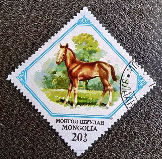Марка Монголия 1982 год Фауна