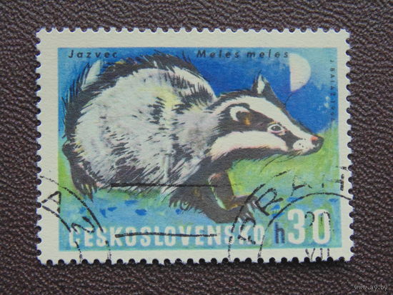 Чехословакия 1966 г. Барсук.