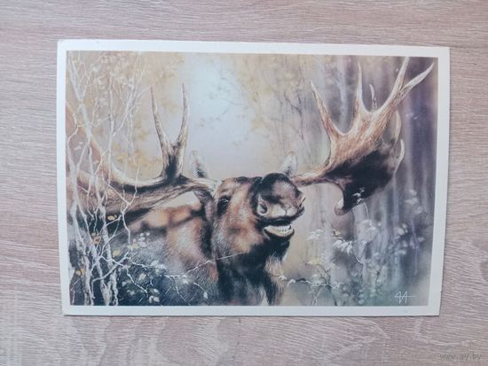 Исаков 1989, чистая