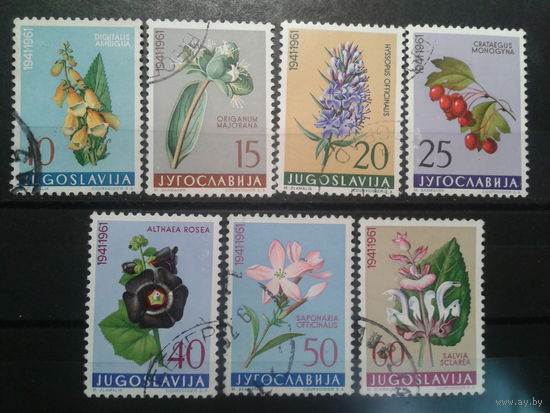 Югославия, 1961. Цветы