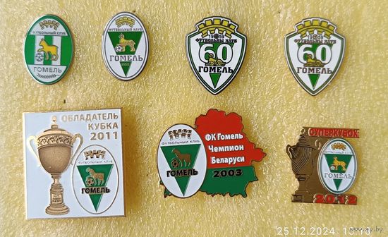 Футбол ФК Гомель, любой значок по 15 р. (крепление - цанга)