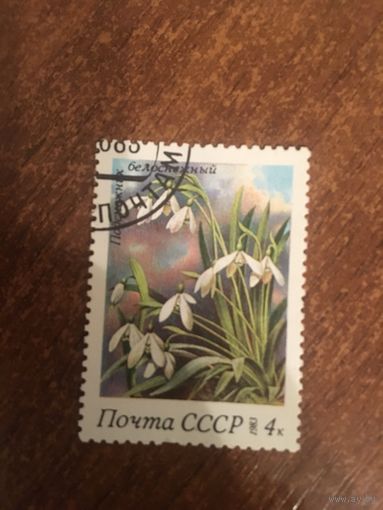 СССР 1983. Подснежник белоснежный