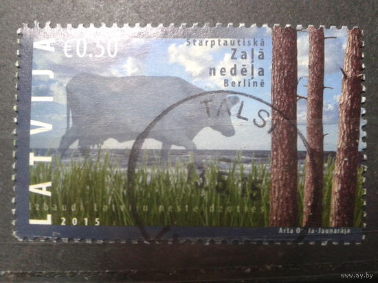 Латвия, 2015. Корова