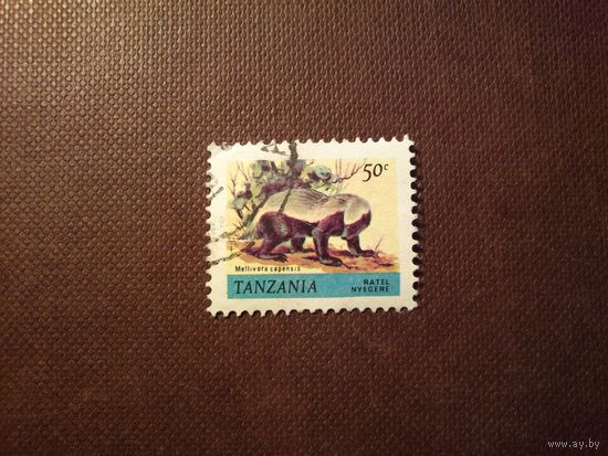 Танзания 1980 г.Медоед.  /46а/