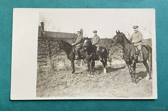 Фотооткрытка 1 Мировая война Германия офицеры в униформе на лошадях
